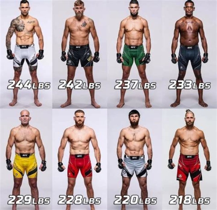 How do UFC fighters gain weight?