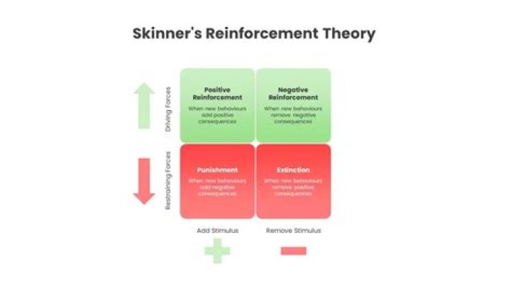 How do you apply Skinner theory?