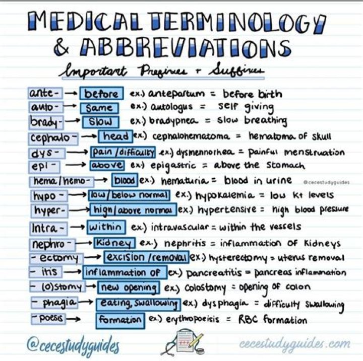 How do you break down words in medical terminology?
