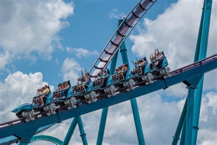 How do you get comfortable on a roller coaster?