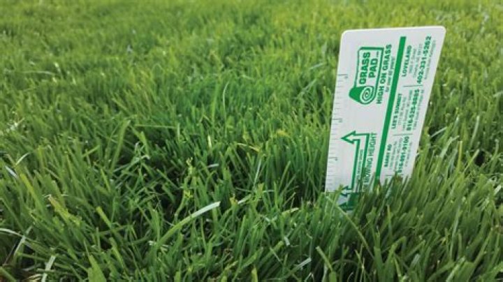 How do you keep grass from growing in artificial grass?