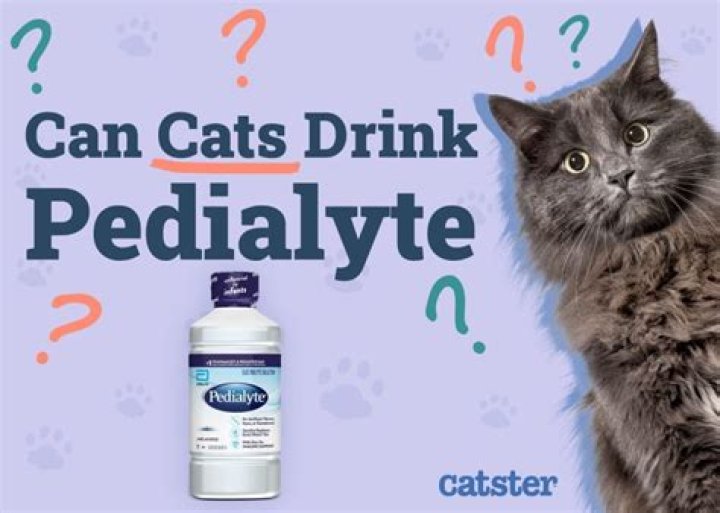 How do you make Pedialyte for cats?