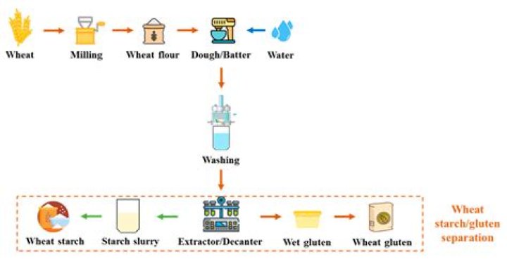 How do you separate starch from wheat?