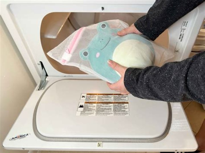 How do you wash a turtle?