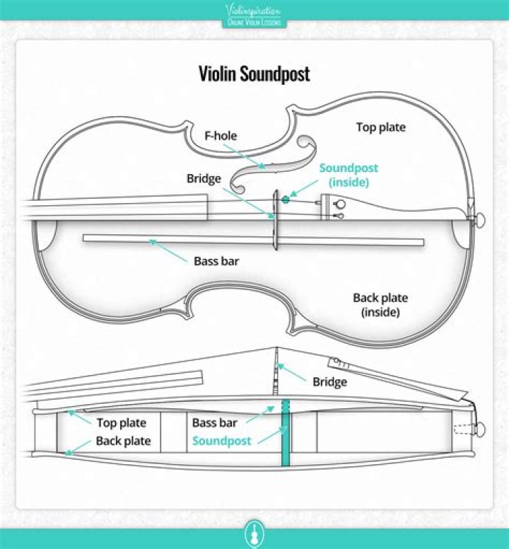 How does a violin make sound?