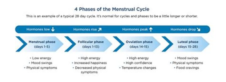How does menstruation affect female athletes?