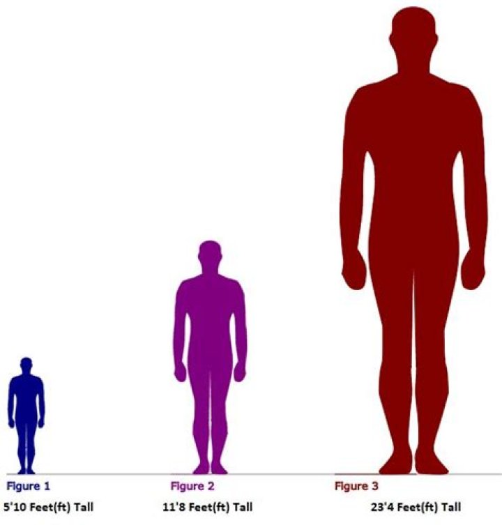 How high can a 6 foot man reach?