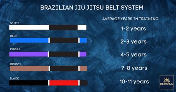 How many BJJ blue belts are there in the world?