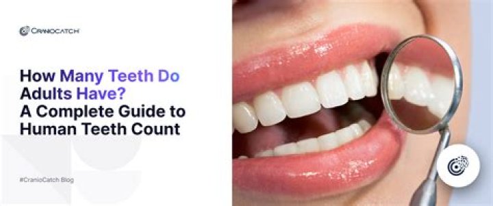 How many teeth does a cassette have?