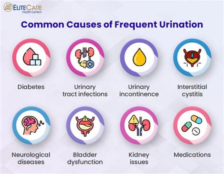 How many times a day is considered frequent urination?