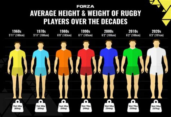 How much do rugby players weigh?