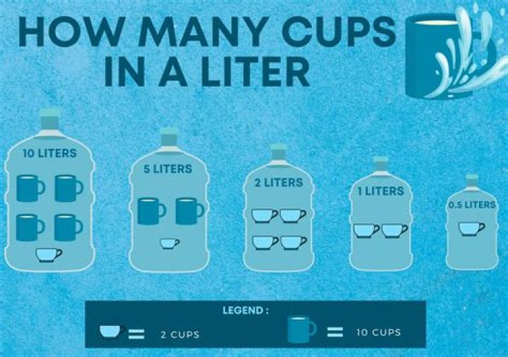 How much is 5 liters of fat in pounds?