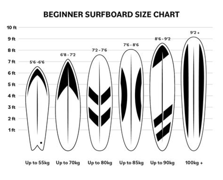 How often should a beginner surf?