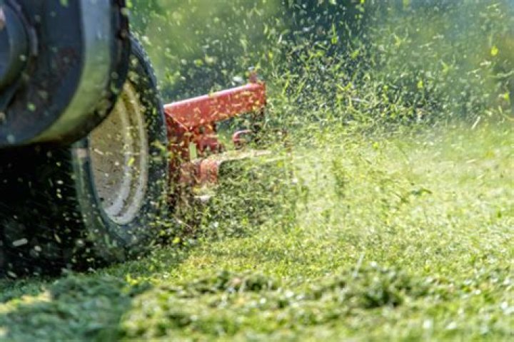 How often should lawn be mowed?
