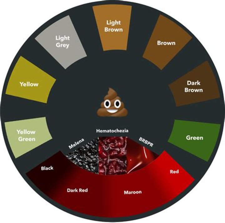 How thick should poop be?