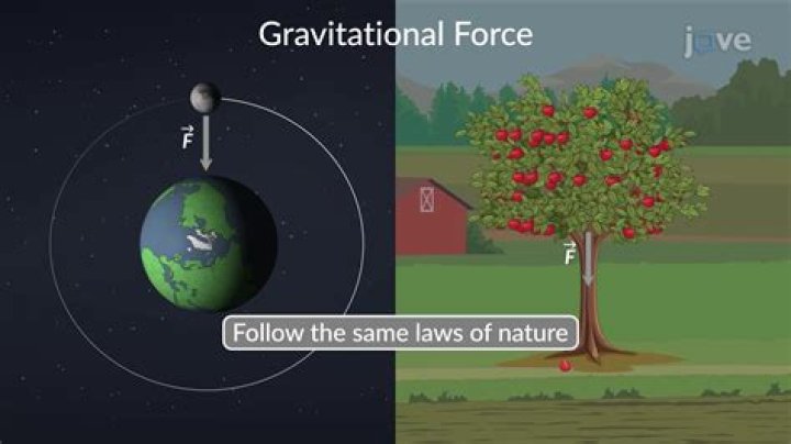 How was gravity created?