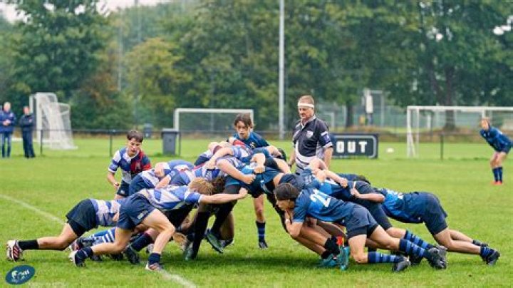Is a peacock a Rugby?