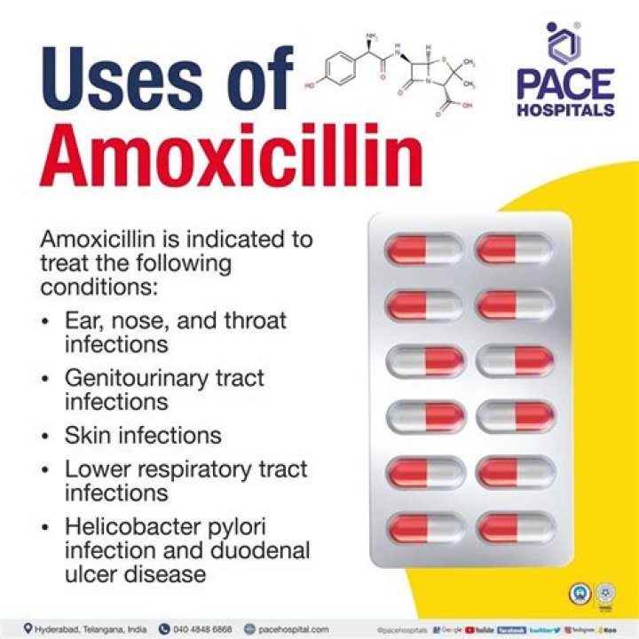 Is amoxicillin better than antibiotic?