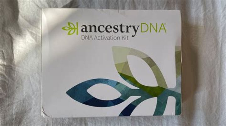 Is ancestry DNA good for African American?