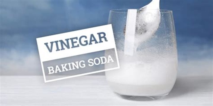 Is baking soda and vinegar endothermic?