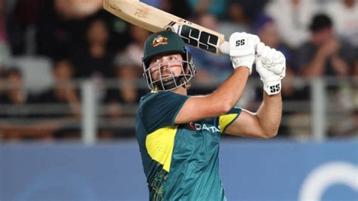 Is becoming a cricketer easy?