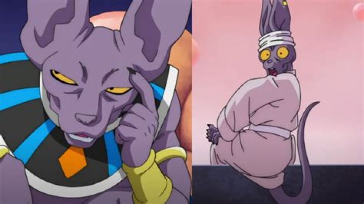 Is Beerus immortal?
