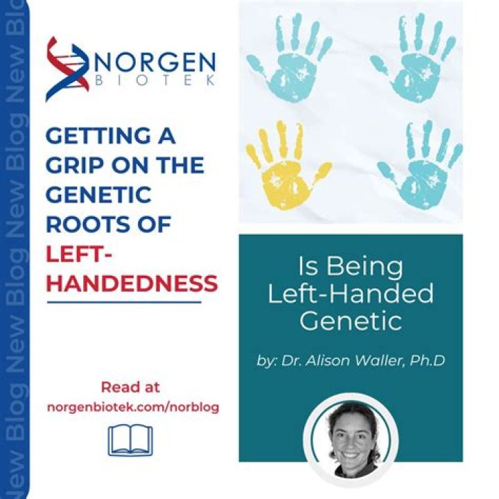 Is being left-handed genetic or learned?