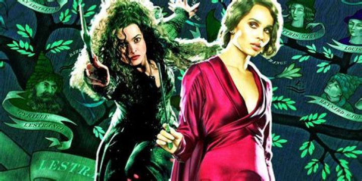 Is Bellatrix Lestrange related to Harry Potter?
