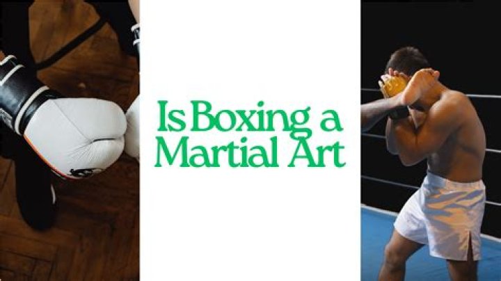 Is boxing a mixed martial art?