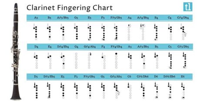 Is clarinet fingering like recorder?