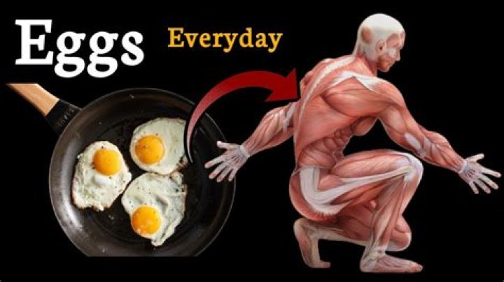 Is eating eggs everyday good for muscle-building?