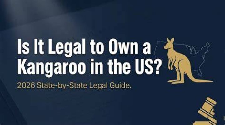Is it legal to own a kangaroo in the US?