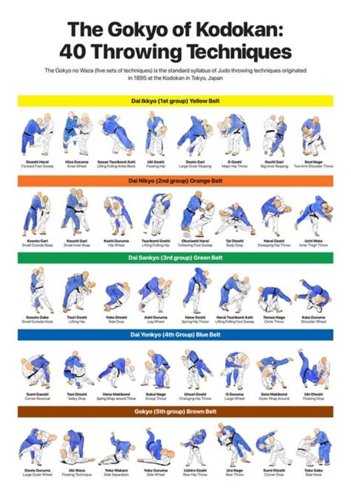 Is it too late to learn judo?