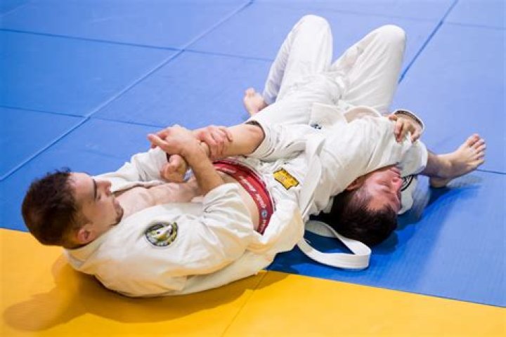 Is Jiu Jitsu worth the money?