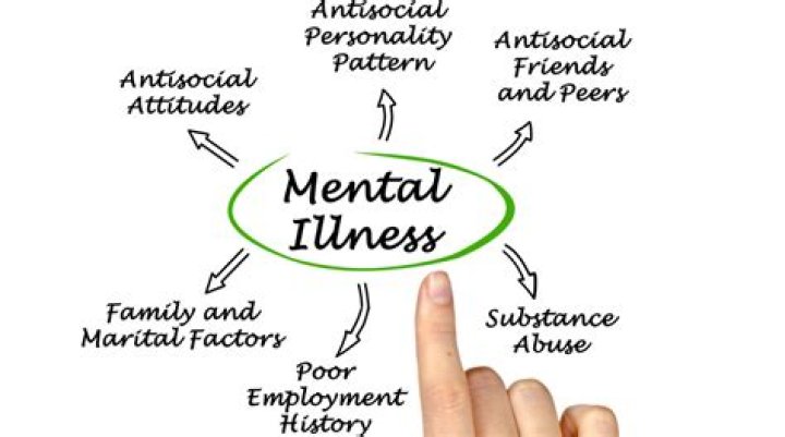Is madness a mental illness?