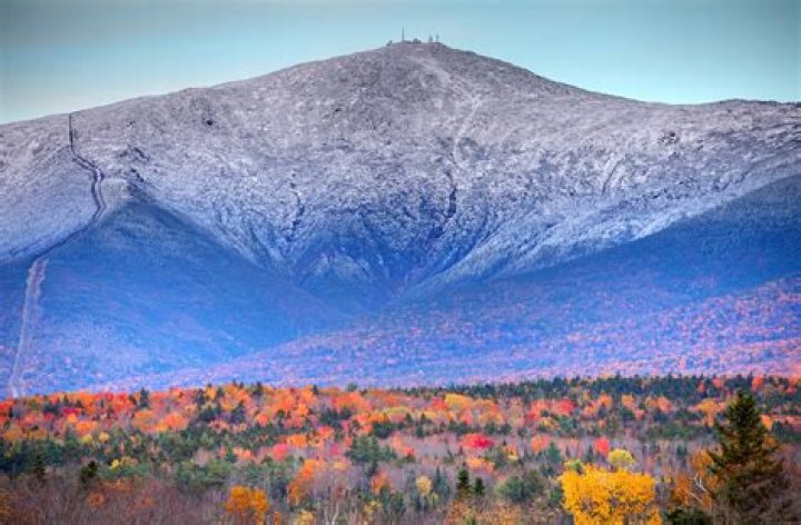 Is Mt Washington above tree line?