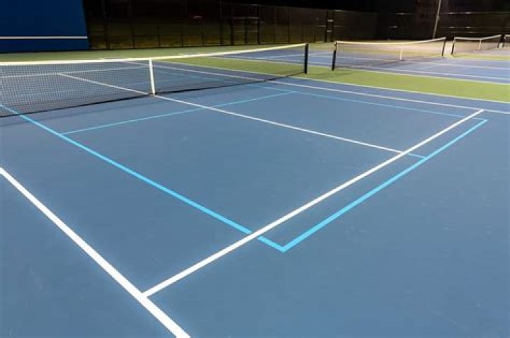 Is pickleball just a fad?