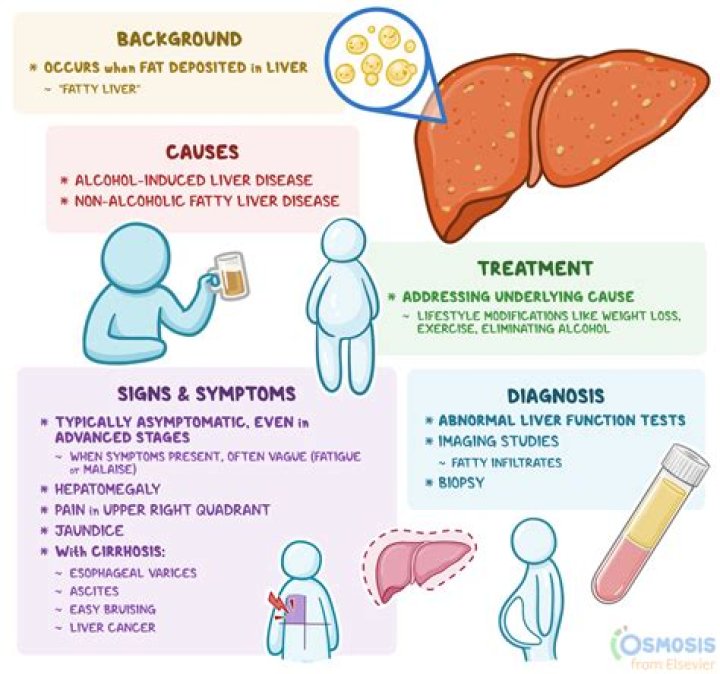 Is radish good for liver cirrhosis?