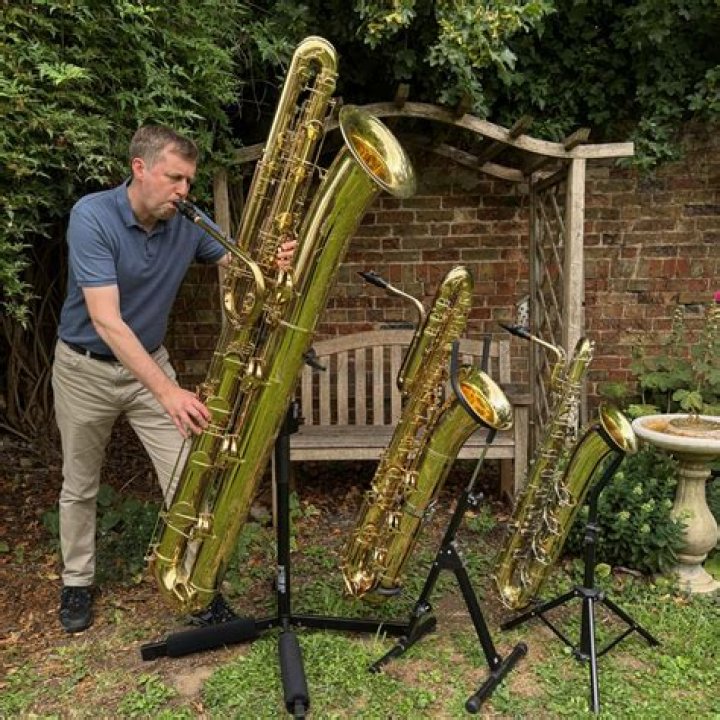 Is saxophone the hardest instrument to play?