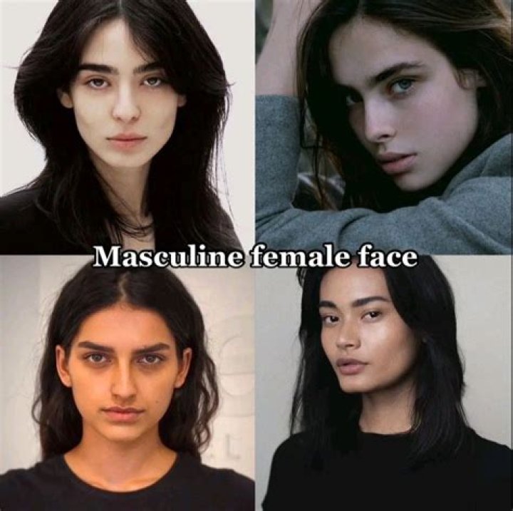 Is Souris MASC or FEM?