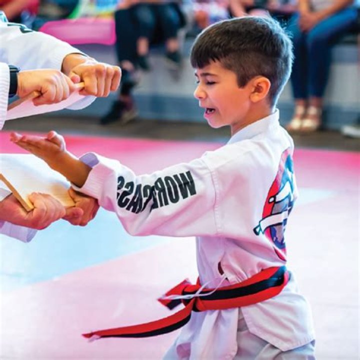 Is Tae Kwon Do safe for kids?