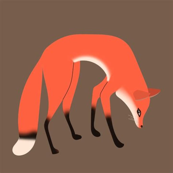 Is the Fox Now app free?