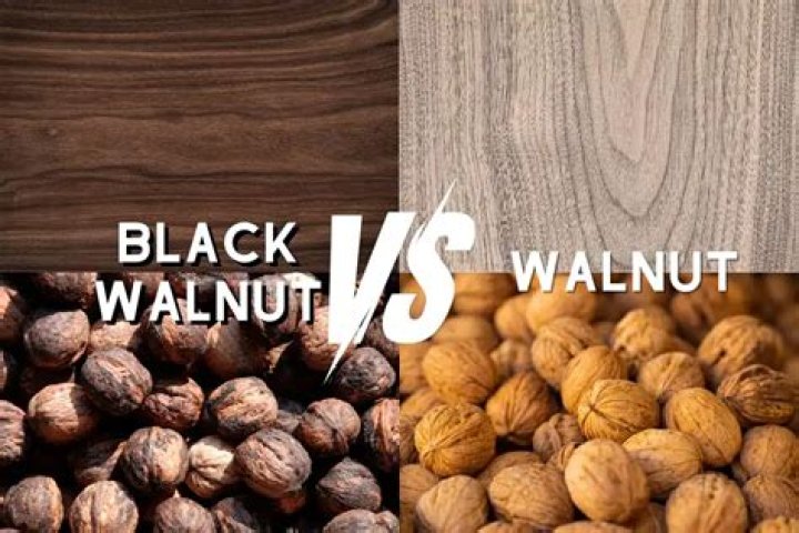 Is walnut the same as hickory?