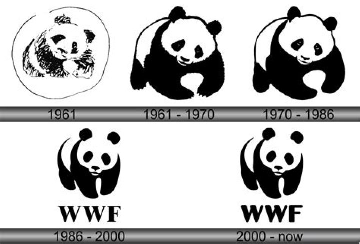 Is WWF scripted?