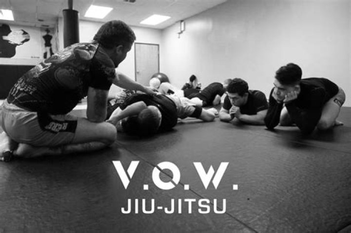 What's better MMA or Jiu-Jitsu?