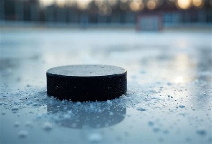 What's inside of a hockey puck?