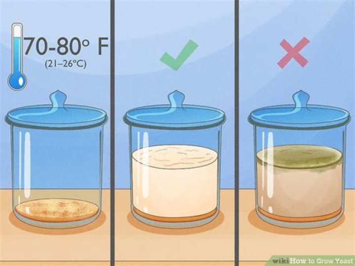 What affects yeast growth?