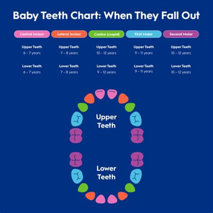 What ages do kids get teeth?