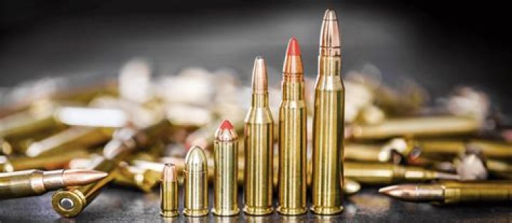 What ammo brands does Olin own?