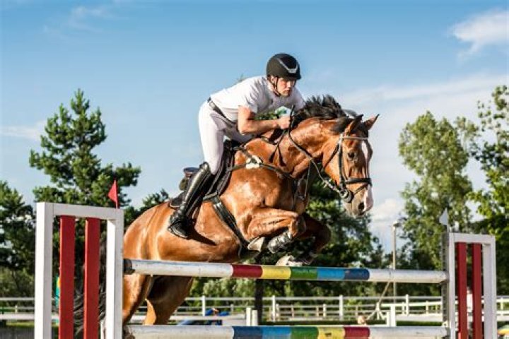 What are equestrian sports?